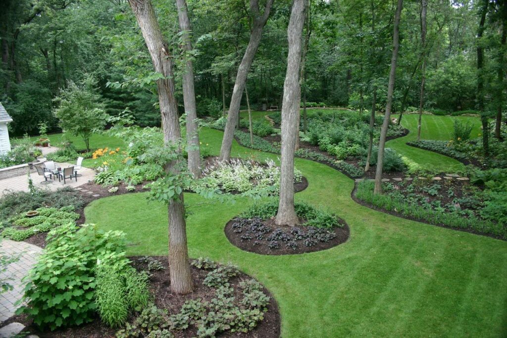 Landscape Design & Installation