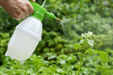 post-emergent herbicide